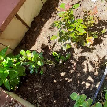 İBB - İstanbul Büyükşehir Belediyesi Kaldırım Ve Yol Çökmeleri