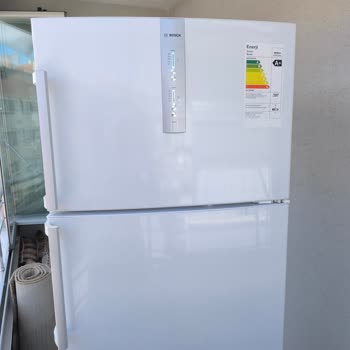 Bosch No Frost Kokuyor