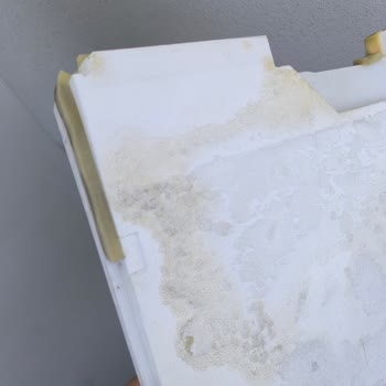 Bosch No Frost Kokuyor