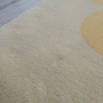 Berrak Halı Yıkama İstanbul Halı Yıkama Hizmeti Şikayeti