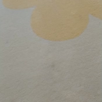 Berrak Halı Yıkama İstanbul Halı Yıkama Hizmeti Şikayeti