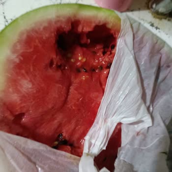 BİM Ayıplı Mal İadesi Yapılmadı (Çürümüş Karpuz)