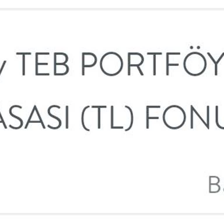 TEB Ekonomi Fon Alımı