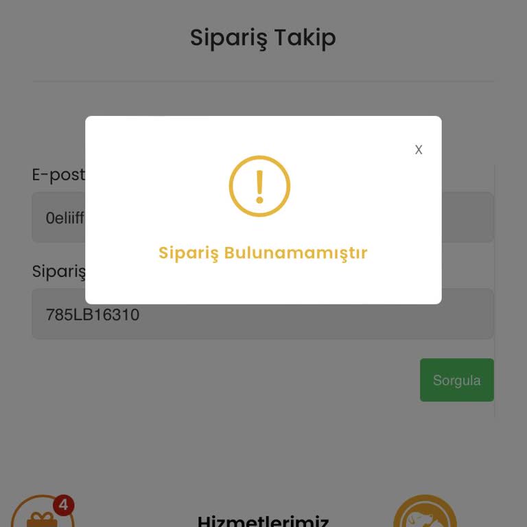 Petzz Shop Siparişim Kontrolünde Bulunamıyor Mesajı Geliyor