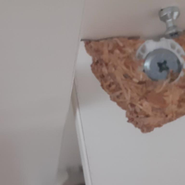 Konfor Mobilya Çetmen Mağazasından Aldığım Üründe Garanti Sorunu Yaşadım