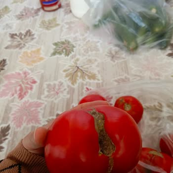 Şok Net Kötü Ürün Gönderilmesi