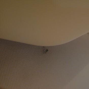 Garenta Fazla Ücret Kesti