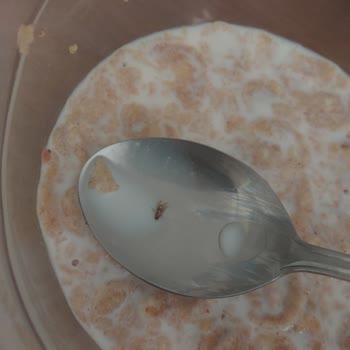 Kellogg's Special K Pirinç Gevreği Paketinden Böcek Çıktı