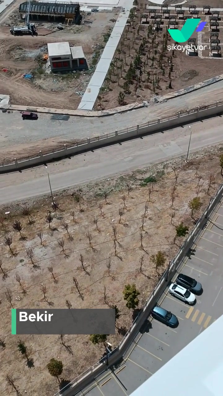 ABB - Ankara Büyükşehir Belediyesi Yeni Dikilen Ağaçlar Sulanmadığı İçin Kurudu! videonun kapak resmi