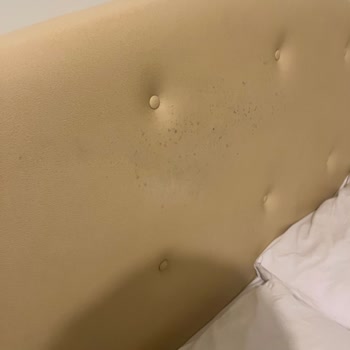 Assos Büyük Yıldızsaray Otel Kötü Hizmeti Ve Hijyen Sorunları