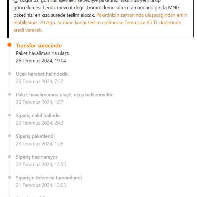 Temu Sipariş Gümrük Gecikmesi