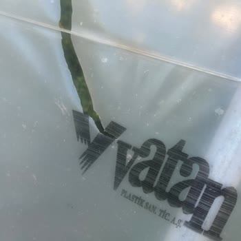 Vatan Plastik Sera Naylonu 2 Yıl Dayanmadı