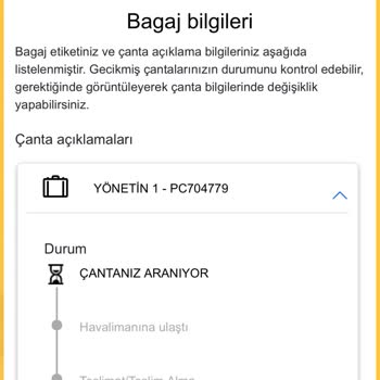 Tatile Geldim Valizim Gelmedi Pegasus