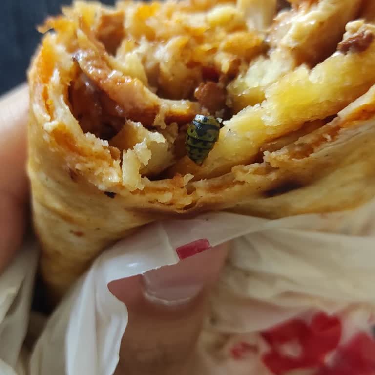 Donas Dürüm De Böcek