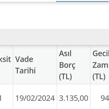 Gelir İdaresi Başkanlığı Benim Olmayan Araçtan Adıma Ceza Geldi