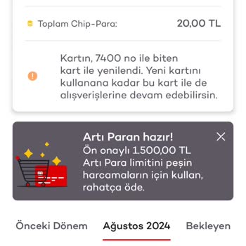 Akbank Mobil Artı Para Hatası