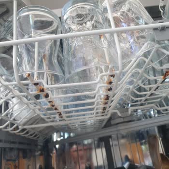 Arçelik Bulaşık Makinesi Sepetlerinde Boya Ve Pas Sorunu