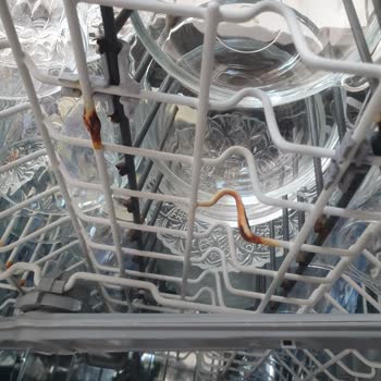 Arçelik Bulaşık Makinesi Sepetlerinde Boya Ve Pas Sorunu