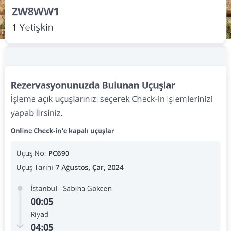 Pegasus Havayolları E Check-in