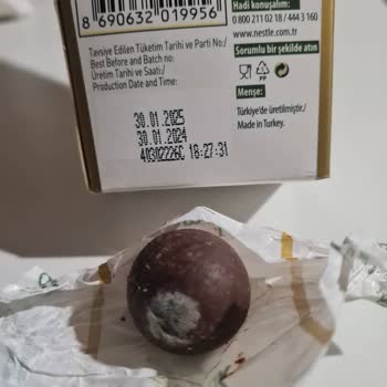 Nestle Damak Antep Fıstıklı Sütlü Çikolata Tett Den Önce Küflendi.