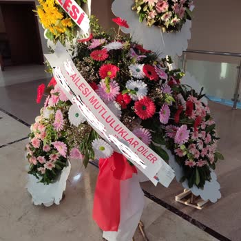 Osevio.com Çiçek Yerine Bez Göndermek De Nedir Ya!