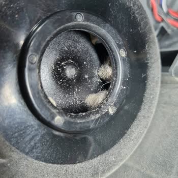 PHILIPS Ev Aletleri Philips Robot Süpürge