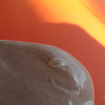 Algida Dondurmasında Beklenmedik Sürpriz!