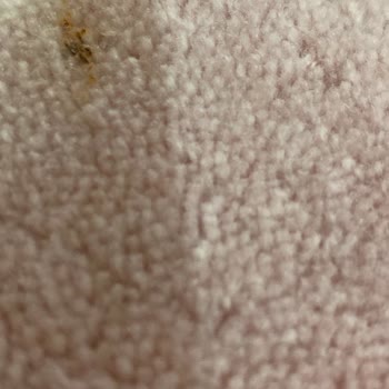 Açar Halı Yıkama Fabrikası Ürünleri Yarı Kirli Teslim Ediyor