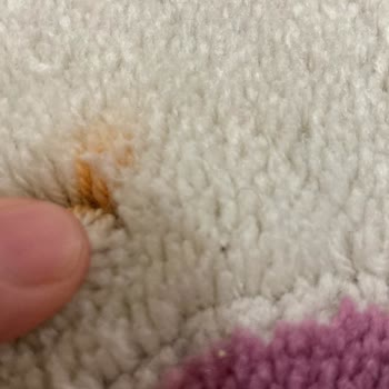 Açar Halı Yıkama Fabrikası Ürünleri Yarı Kirli Teslim Ediyor