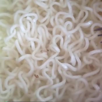 indomie Noodle İçinden Kurt Çıktı