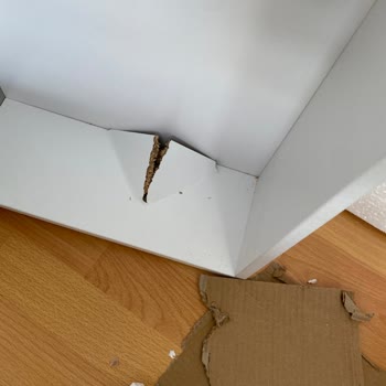 İstikbal Mağaza Çalışanları Hakkında