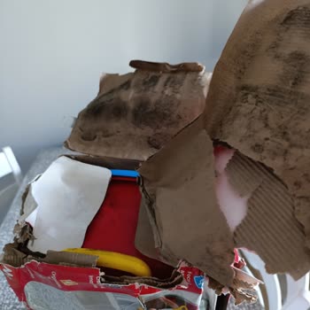 Ebebek Uygulamasında Hijyen Ve Paketleme Sorunu