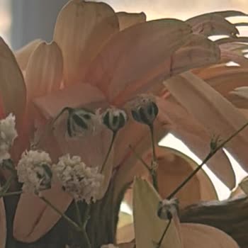 Çiçek Sepeti Alakasız Ürün Gönderdi Satıcı Yardımcı Olmadı