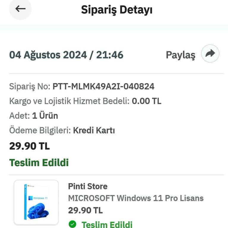 Pintistore Epttavm Epttavm Pintistore