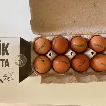 Enver Ağa Yumurta Yanıltıcı Organik Yumurta Satışı Hakkında Şikayet