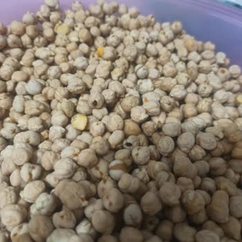 BİM'in Böcekli Bakliyatları