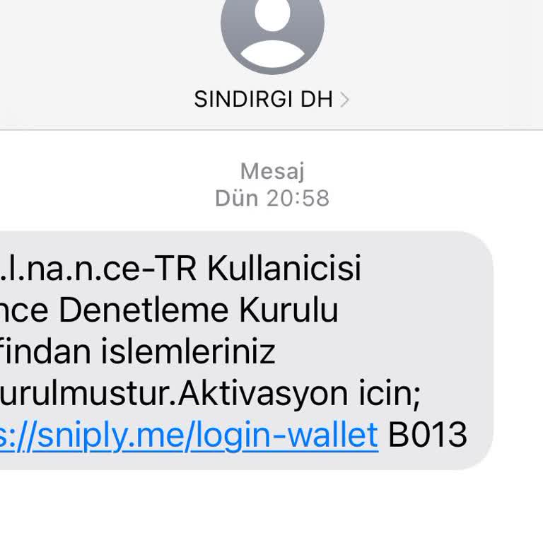 Finans Kuruluşları Adıyla Dolandırıcılık Finansal Denetim Adı Altımda