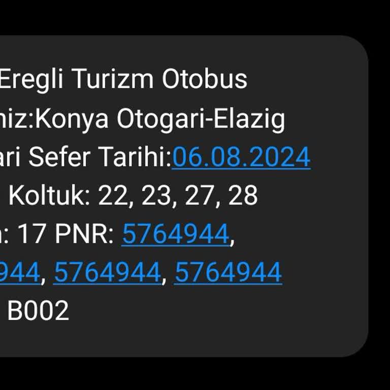 Lüks Ereğli Konya Elazığ Yolculuğunda Yaşanan Rahatsızlıklar