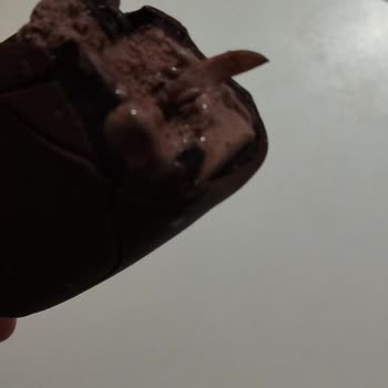 Magnum Şikayet Var Magnum Dan Tahta Parçası Cıktı