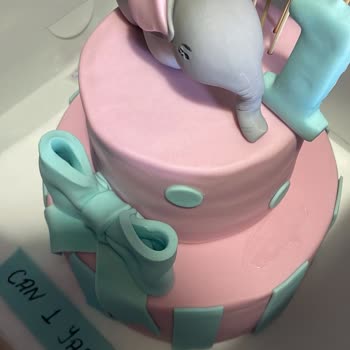 Liva Pastanesi (livapastacilik.com) Erkek Çocuğuna Pembe Pasta Gönderdiler