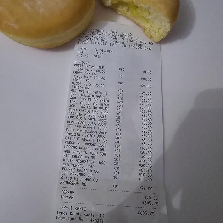 Beylikdüzü'nde Satılan Bayat Berliner Sorunu