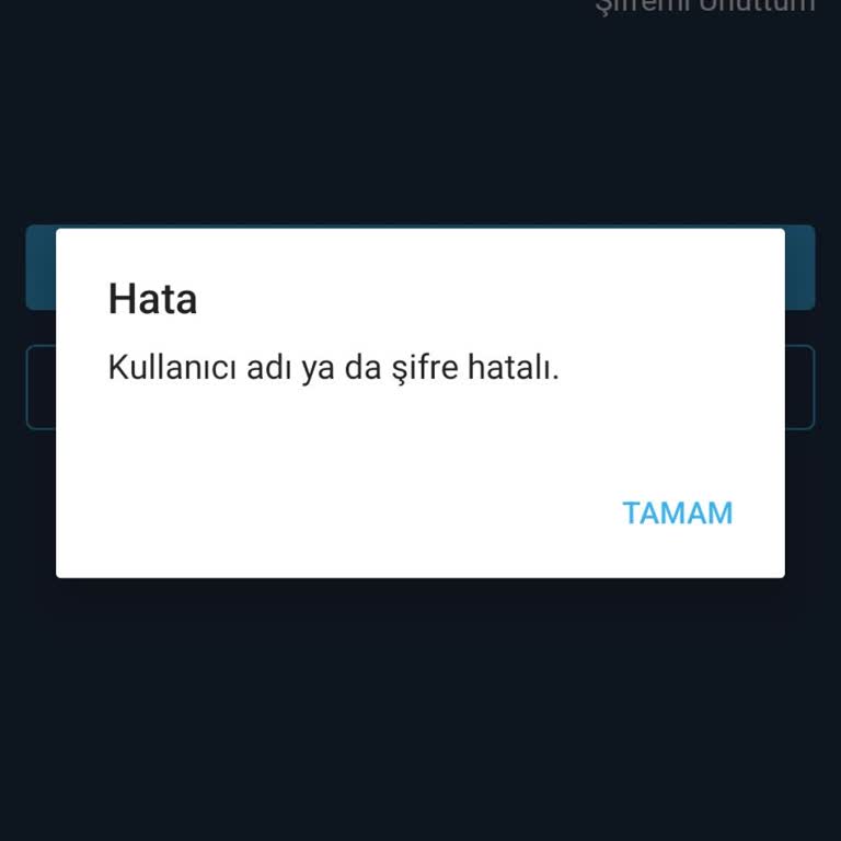 Bitexen E Posta Gelmemesi