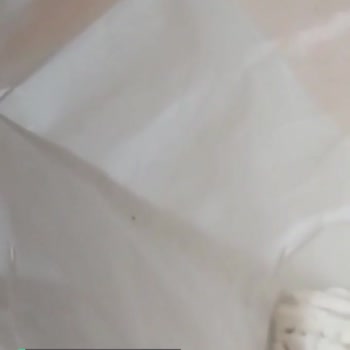 Söke Un Paket İçinde Canlı Minikler!