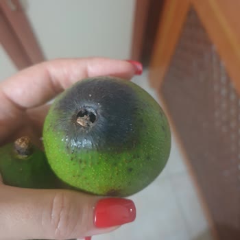 Migros Sanal Market Çürük Ürün Gönderip İade Almıyor