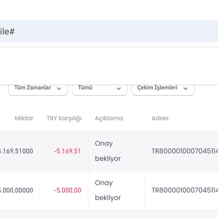 Bitay Para Çekme Talebim