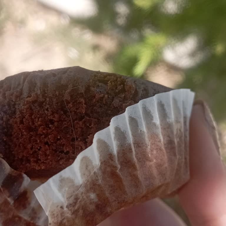 Luppo Kekin İçinden Kıl Çıktı