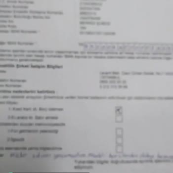 Türkiye Hayat Emeklilik Formumun İşleme Sokulmasını İstiyorum!