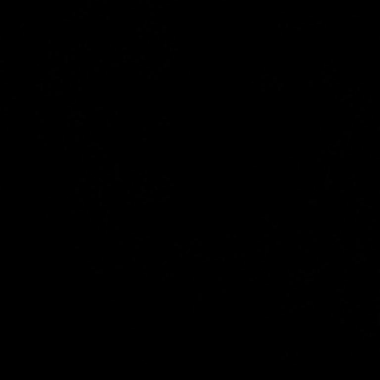 Renault Clio 4 Vites Kutusunu Kontrol Ettirin.