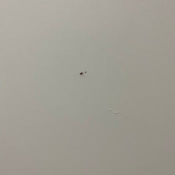 Raid Sinek Kovucu Bir İse Yaramıyor