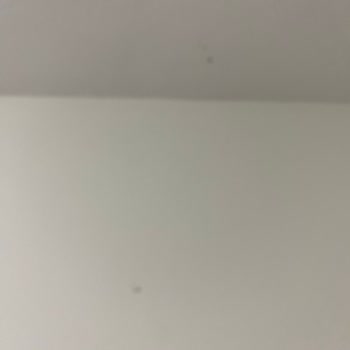 Raid Sinek Kovucu Bir İse Yaramıyor